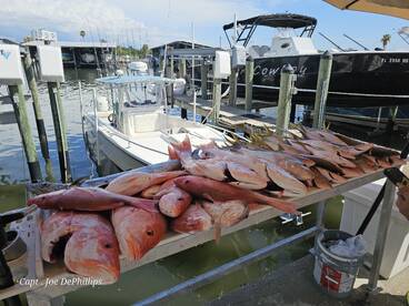 Its SNAPPER SEASON ! LONG RANGE TRIPS DO
