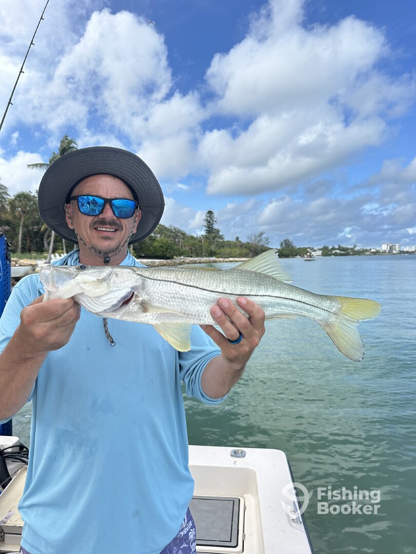 Sarasota Report Photo 0