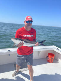 Virginia Beach Report Photo 2