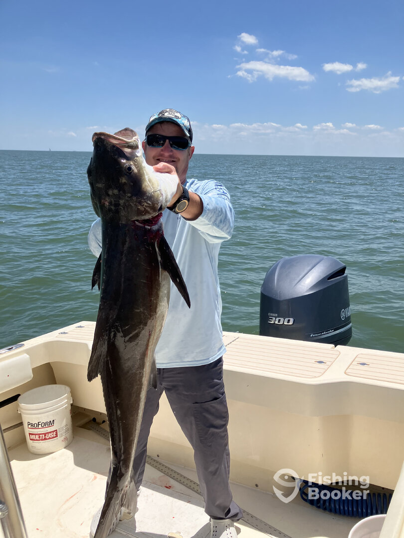 Gloucester Point Report Photo 0