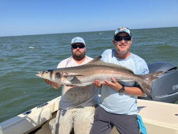 Gloucester Point Report Photo 1