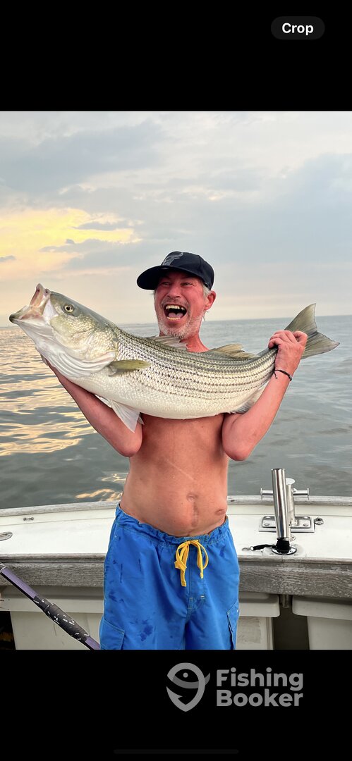 The Bronx Report Photo 0