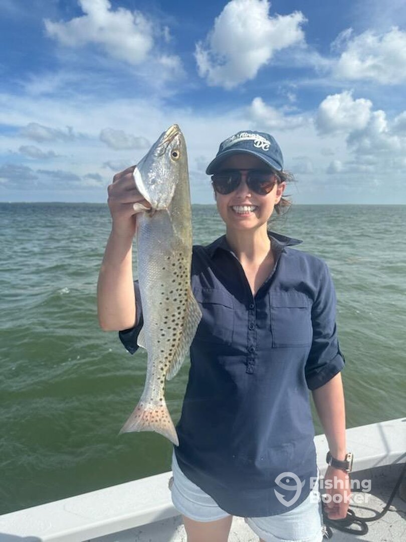 Corpus Christi Report Photo 0