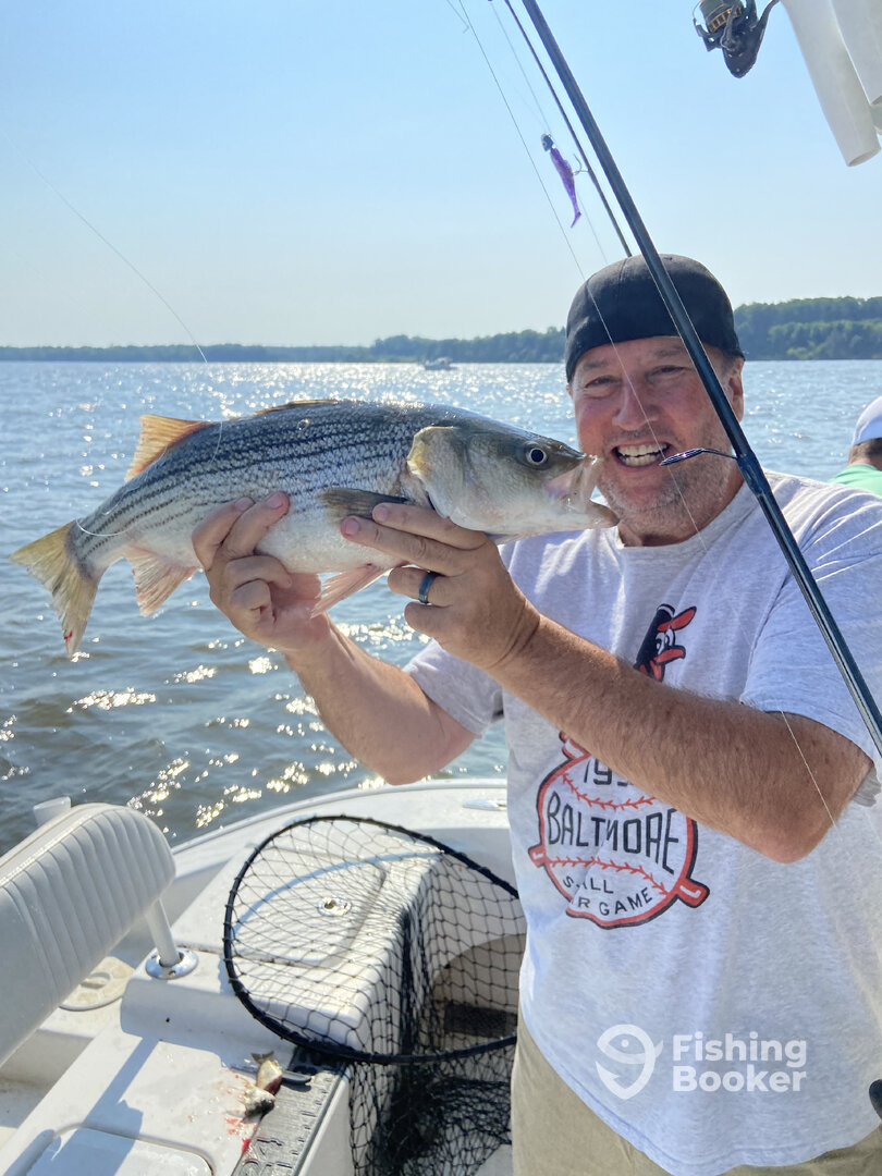 Annapolis Report Photo 0