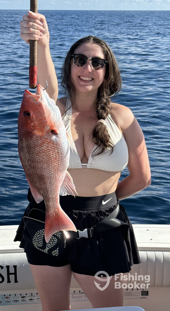 Gulf Shores Report Photo 0