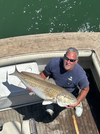 Norfolk Report Photo 1