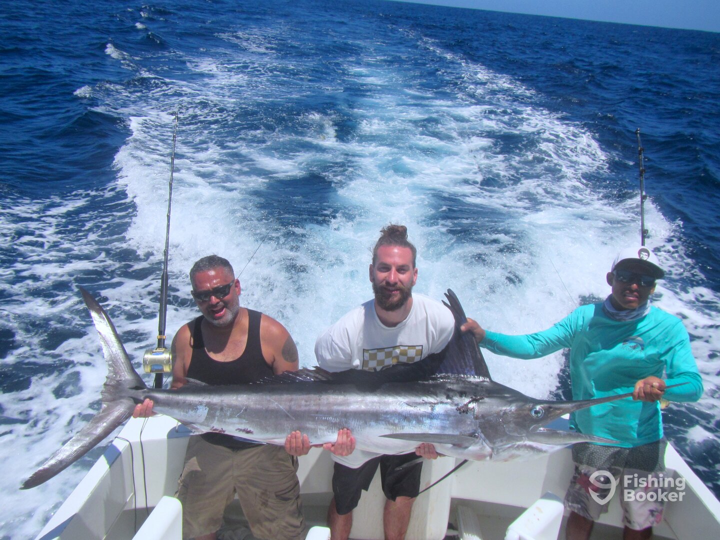 Cabo San Lucas Report Photo 0