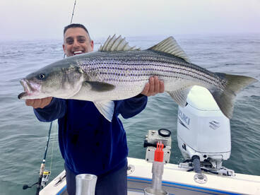 The bass are here in full force!