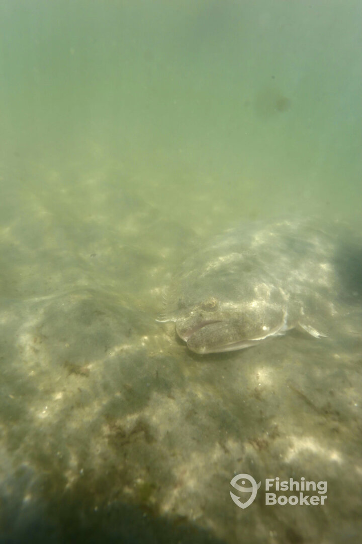 Atlantic City Report Photo 0