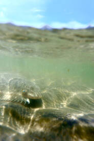 Atlantic City Report Photo 1