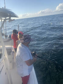 Dauphin Island Report Photo 2