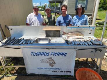 Empire Verslag Foto 1