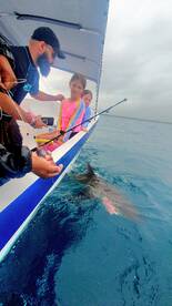 Playa Del Carmen Report Photo 1