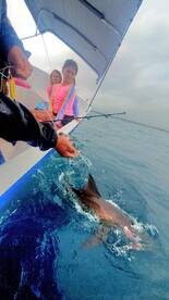 Playa Del Carmen Report Photo 2