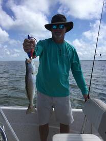 Port St. Joe Report Photo 2