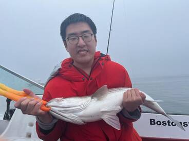 Boston Report Photo 2