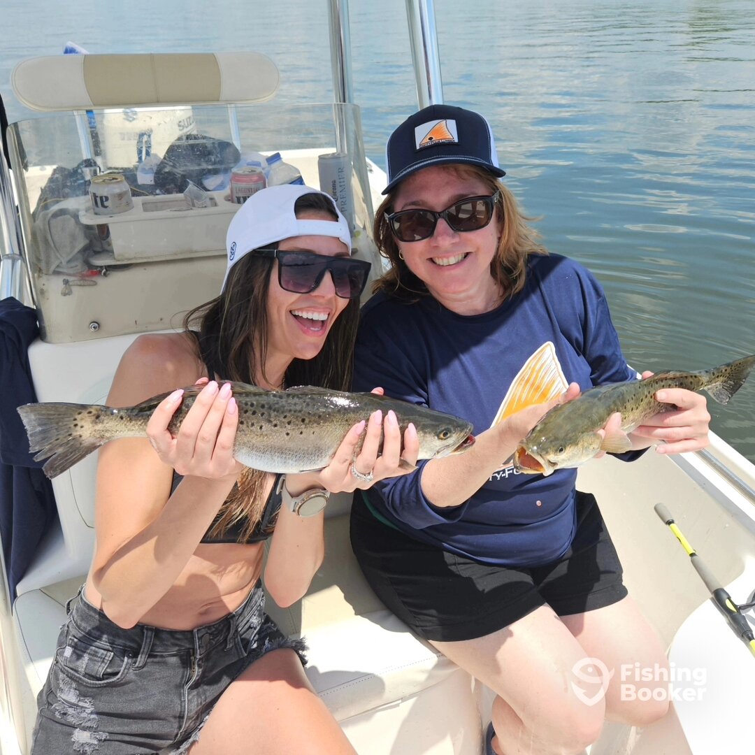 Mount Pleasant Report Photo 0