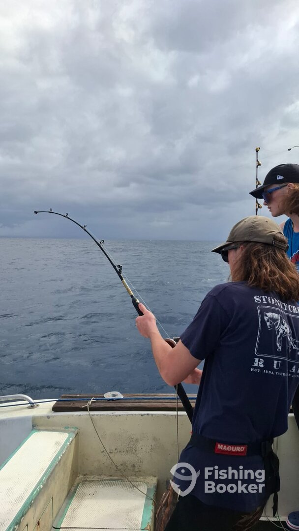 Denpasar Report Photo 0