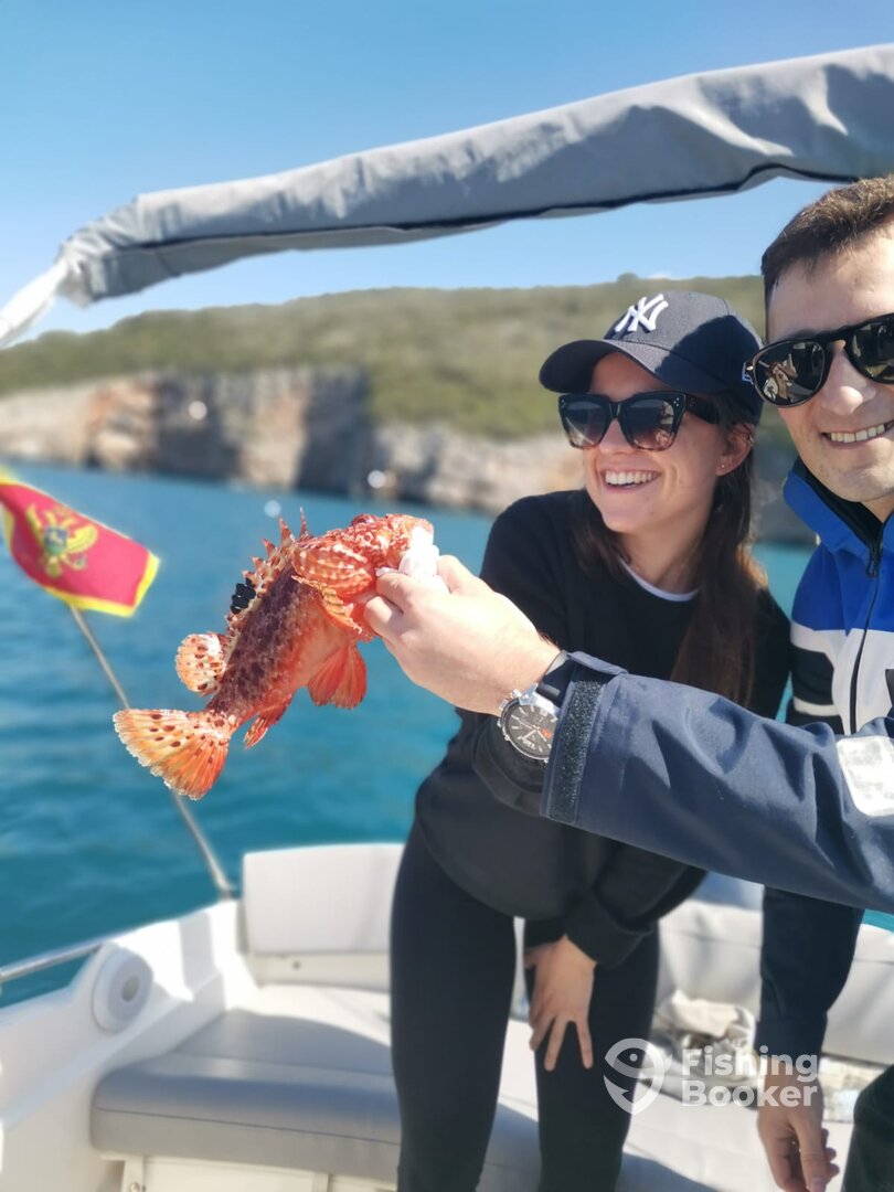 Zelenika Report Photo 0