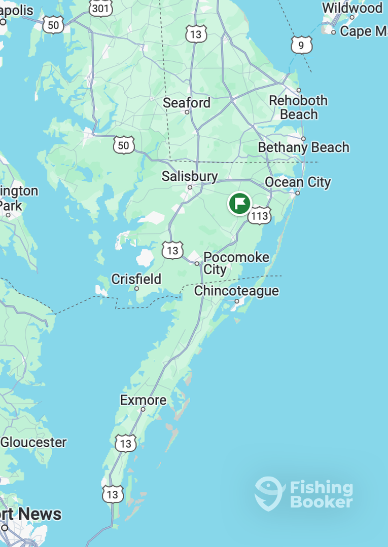 Ocean City Report Photo 0