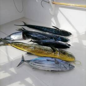 Le Morne Report Photo 1