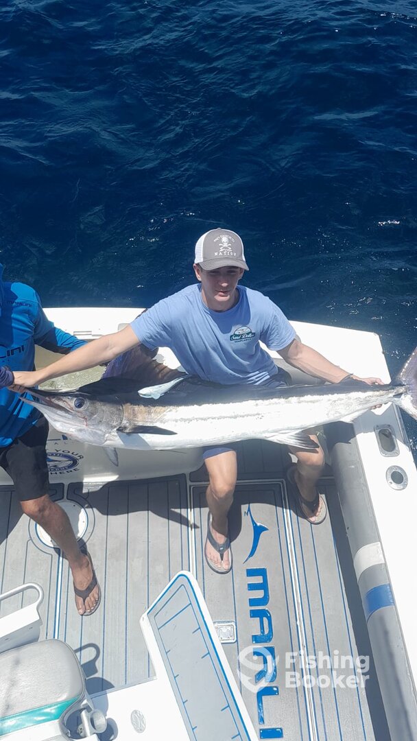 Cabo San Lucas Report Photo 0