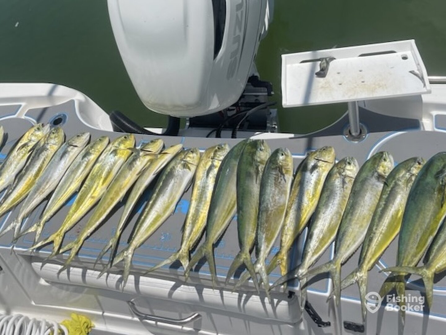 Islamorada Report Photo 0