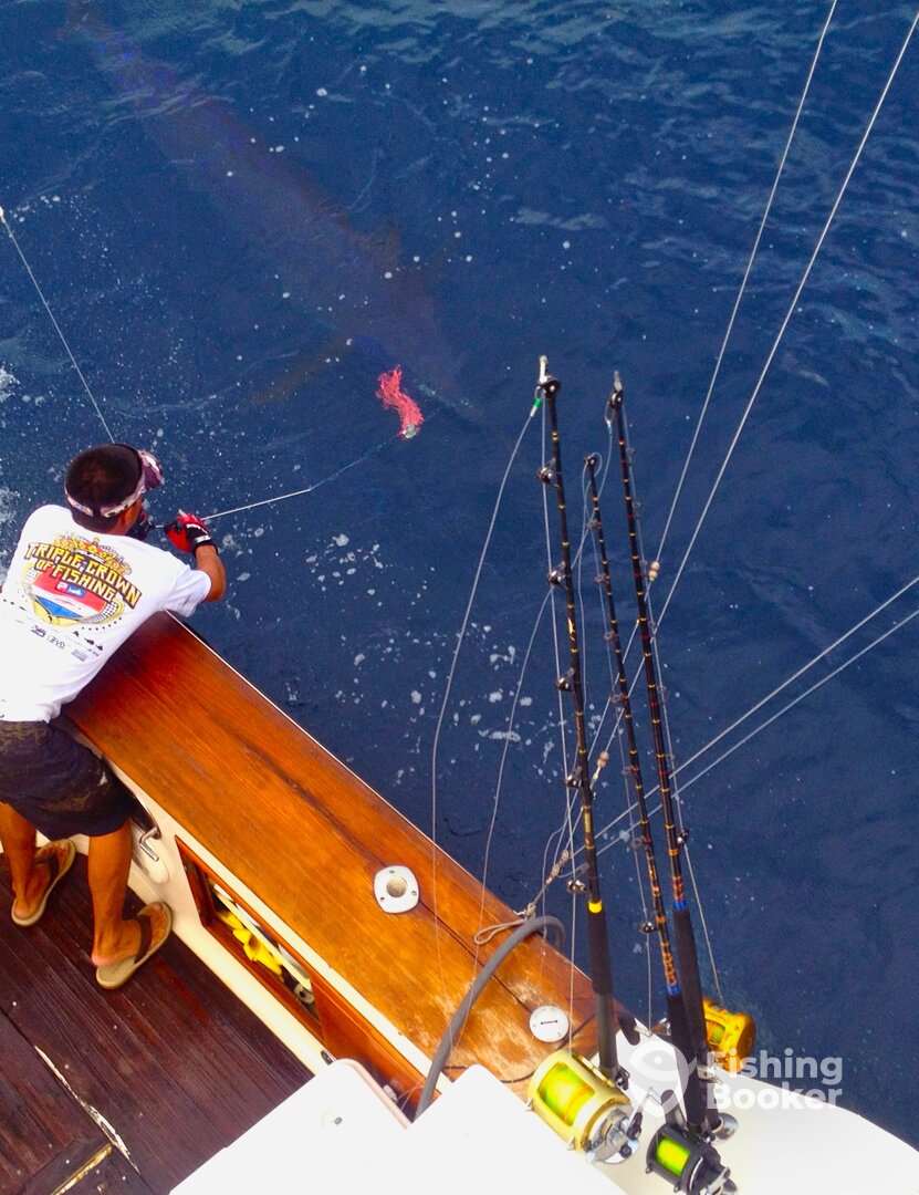 Golfito Report Photo 0