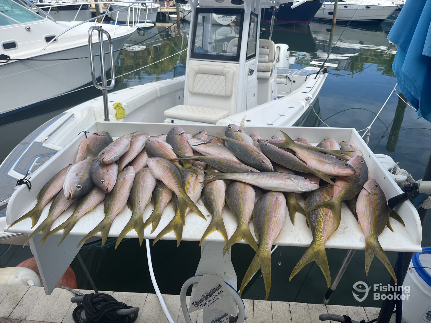 Islamorada Report Photo 0