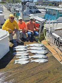 Port Washington Report Photo 2