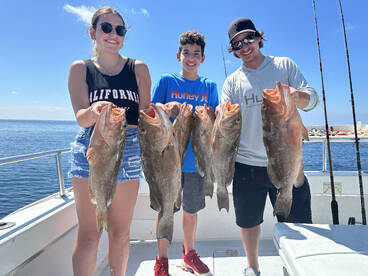 Naples Report Photo 1