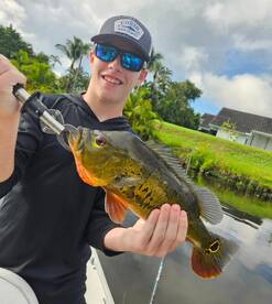 Delray Beach Report Photo 1