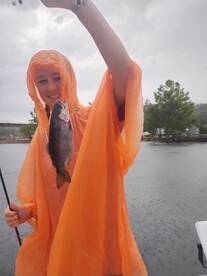 Branson Report Photo 1