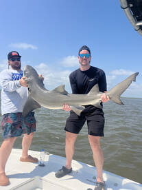 Hilton Head Island Report Photo 2