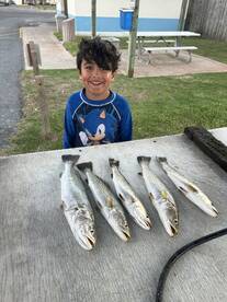 South Padre Island Report Photo 2