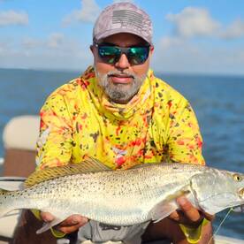 Speckled trout  on live bait!