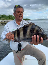 New Orleans Report Photo 1