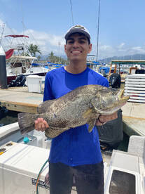 Puerto Vallarta Report Photo 2