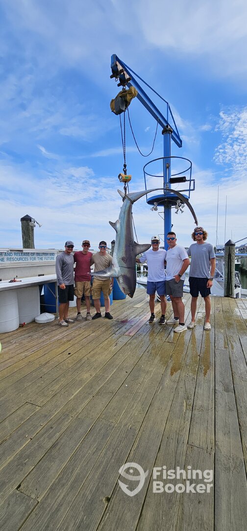 Ocean City Report Photo 0