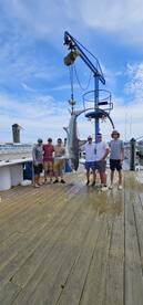 Another thresher shark