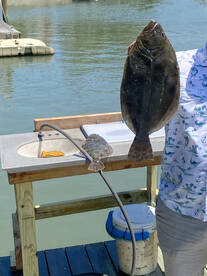Murrells Inlet Report Photo 2