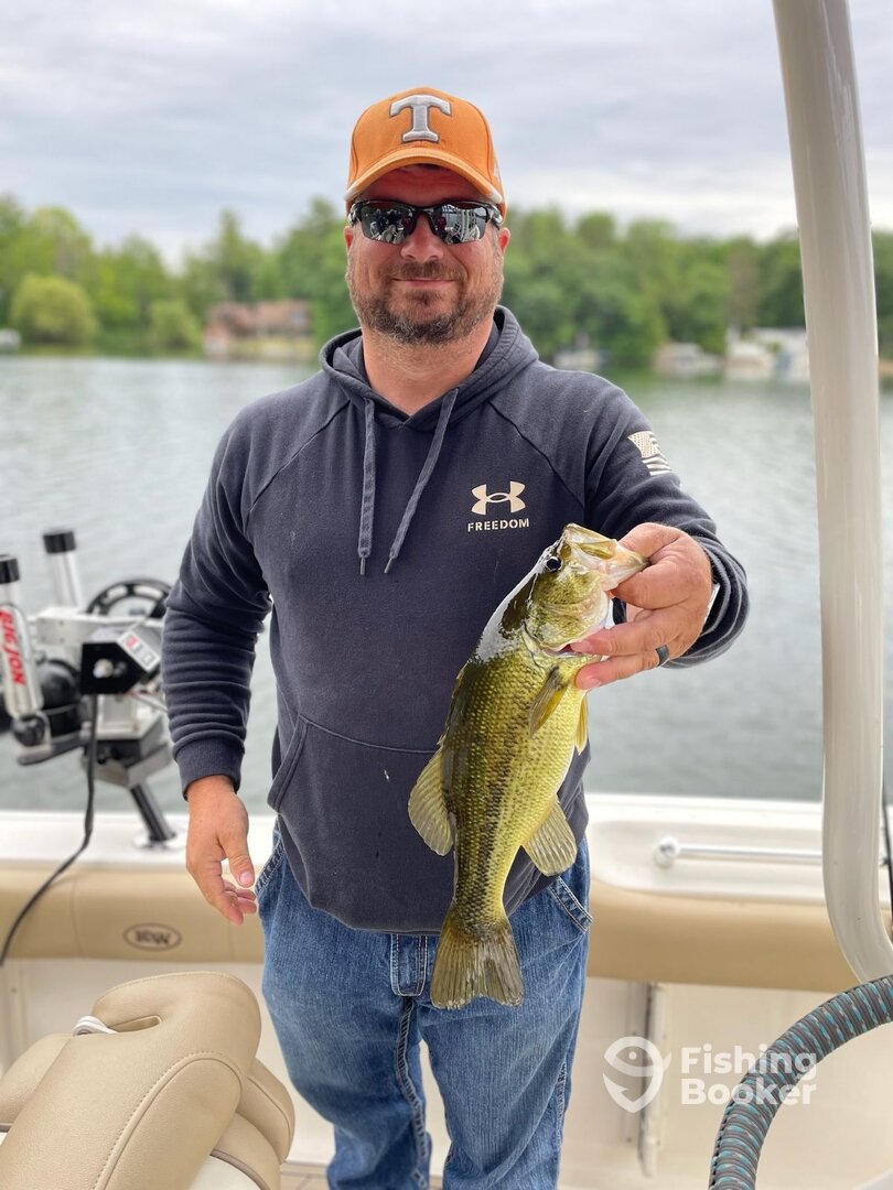 Elmwood Charter Township Report Photo 0