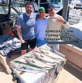 Ben’s 3hr special tide trip