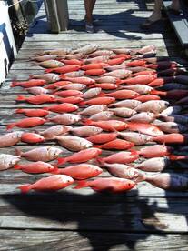 Panama City Beach Report Photo 2