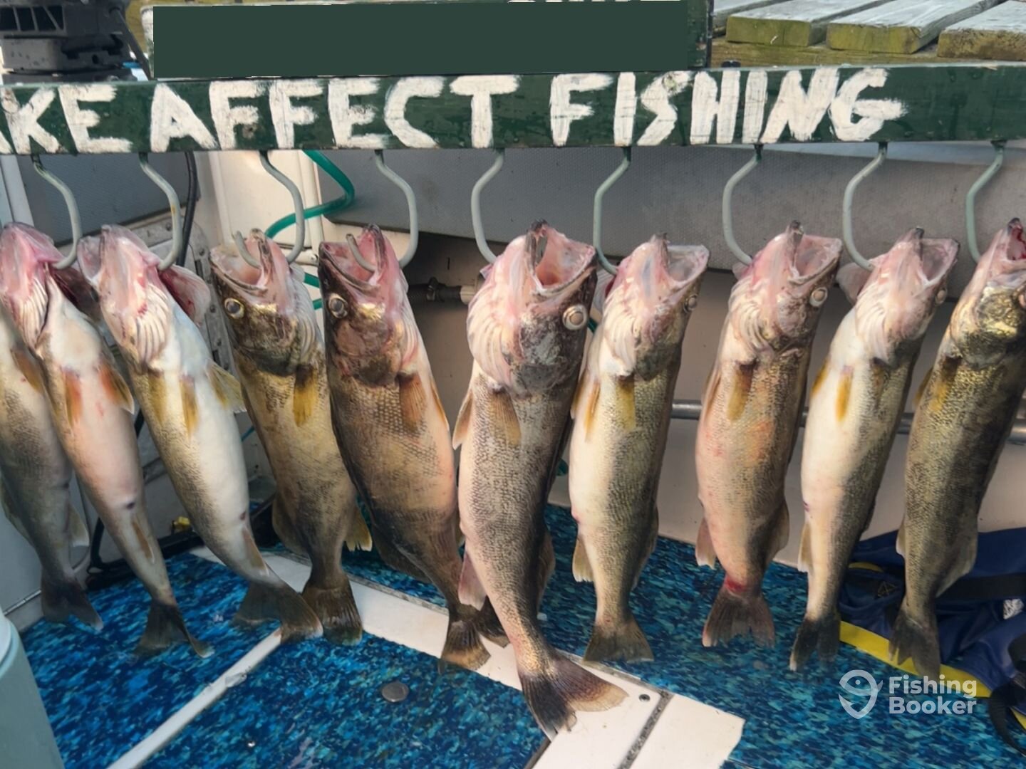 Westfield Report Photo 0