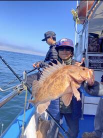 Rock fishing at its Best!!