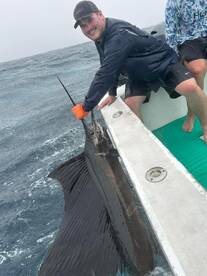 Herradura Report Photo 2