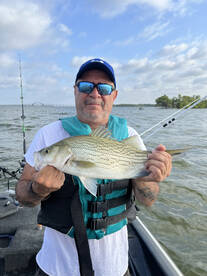 Hybrid Stripers Hot on Lewisville