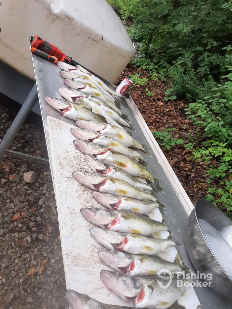 Vermilion Report Photo 0