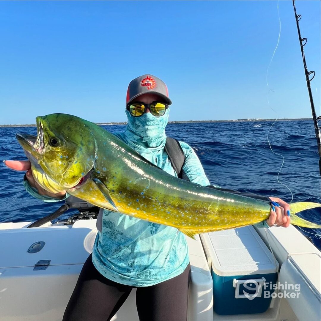 Puerto Aventuras Report Photo 0